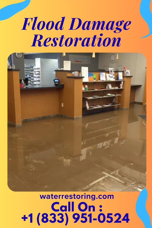 Flood Damage Restoration in Juneau, WI