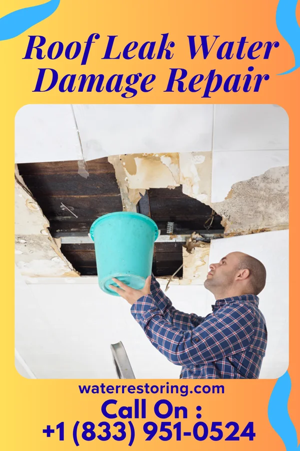 Roof Leak Water Damage Repair in Juneau, WI