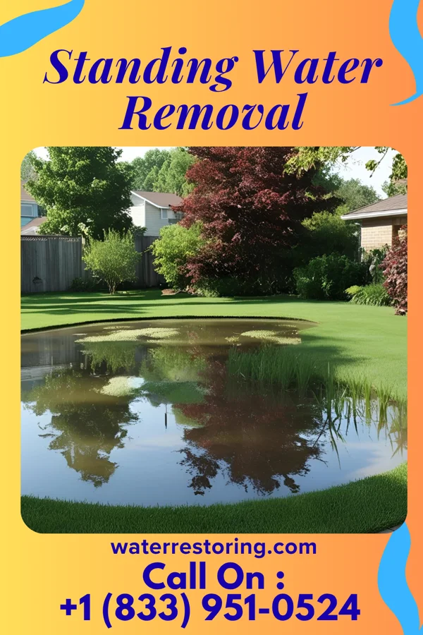 Standing Water Removal in Juneau, WI